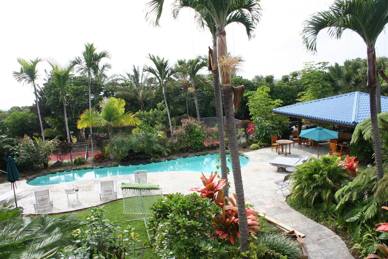 Hawaiian Oasis Bed & Breakfast Kailua-Kona Zewnętrze zdjęcie